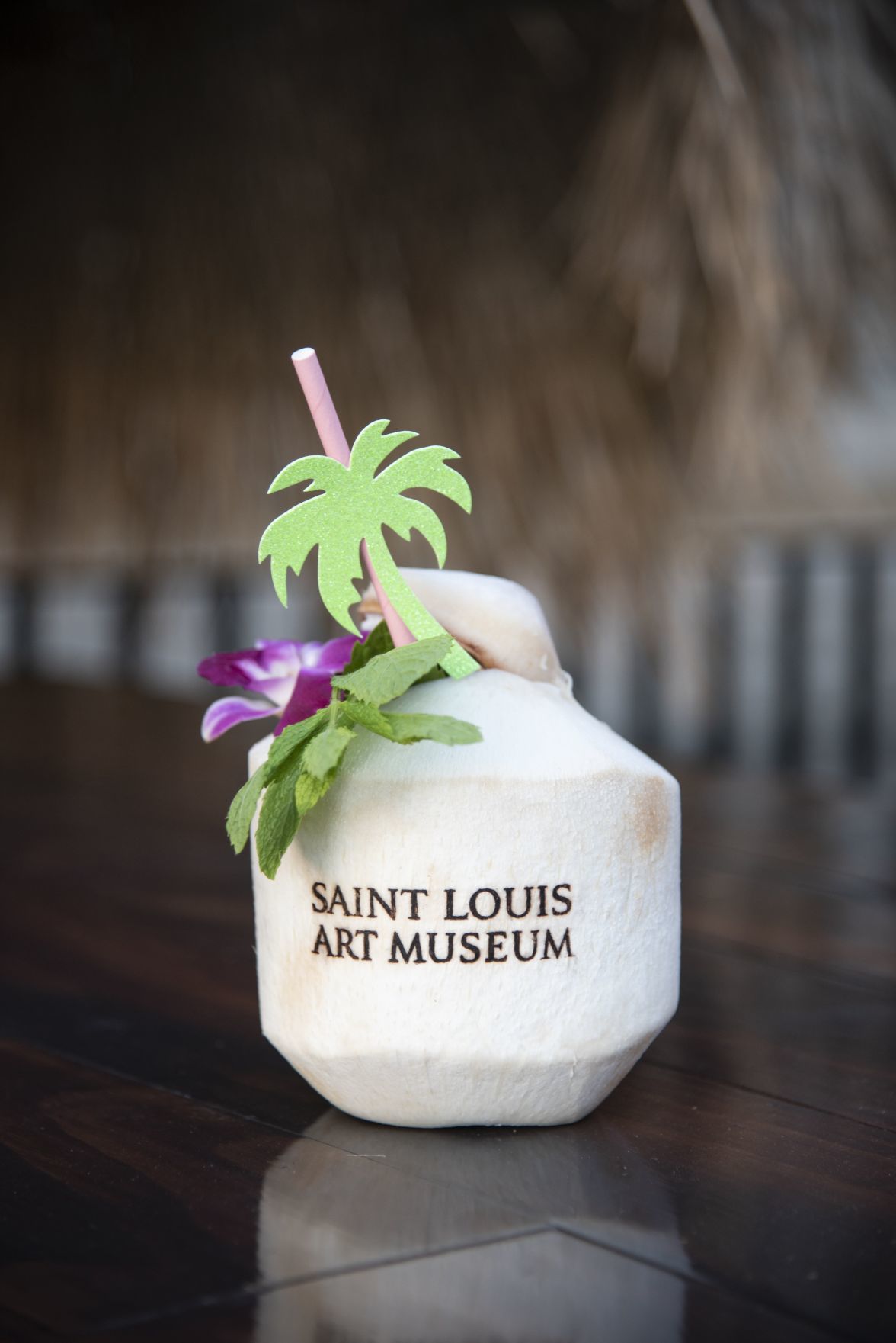 Saint Louis Art Museum Tropic Gala 2019